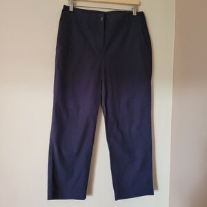 Talbots Women's Navy Blue Straight Leg Stretch Chino Pants Size 10